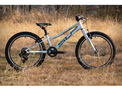 Superior Racer XC 20'' vaikiškas dviratis, white/blue/yellow 2