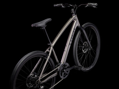Velosipēds TREK Dual Sport 1 Gen 5 pelēks
