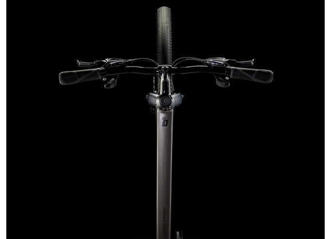 Velosipēds TREK Dual Sport 1 Gen 5 pelēks