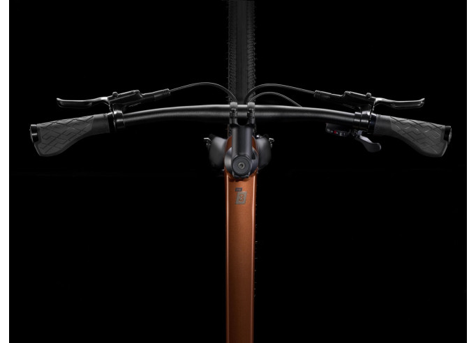 Cross bike TREK Dual Sport 3 Gen 5 Pennyflake