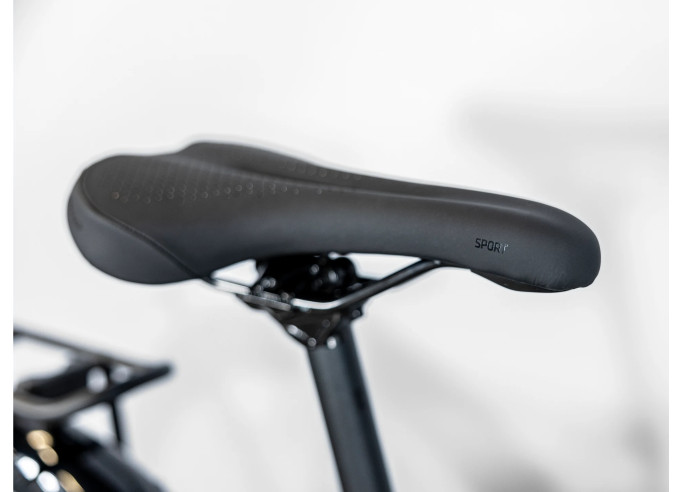 Velosipēds Dual Sport 2 Equipped Stagger Gen 5...