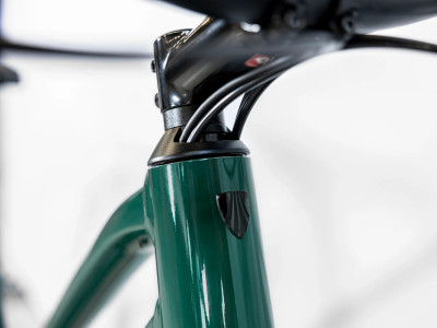 Velosipēds Dual Sport 2 Equipped Stagger Gen 5 zaļš