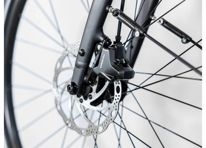 TREK Dual Sport 2 Gen 5 Equipped Mulsanne