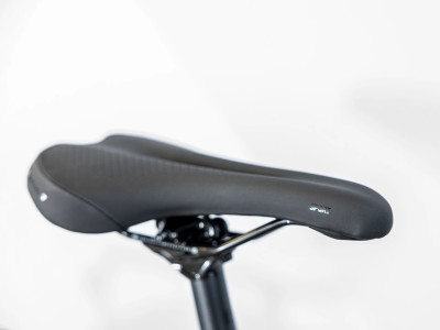 TREK Dual Sport 2 Gen 5 Equipped Mulsanne