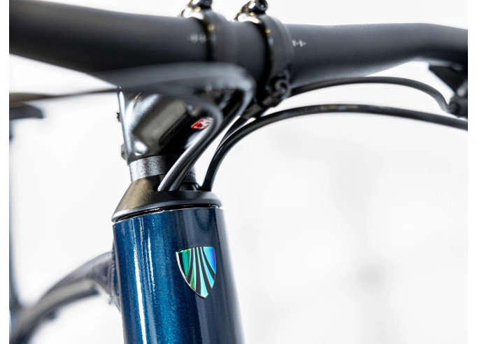 TREK Dual Sport 2 Gen 5 Equipped Mulsanne