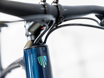 TREK Dual Sport 2 Gen 5 Equipped Mulsanne