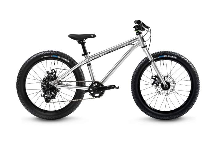 Kids bike EARLY RIDER SEEKER 20" brushed PC...