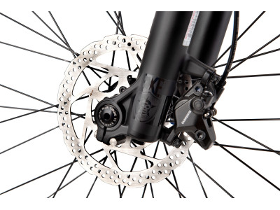 CTM Dirtking Xpert matt violet / black dirt jump dviratis