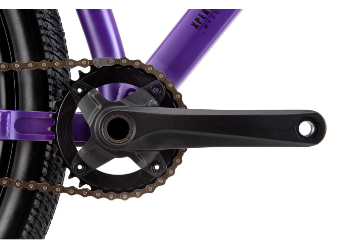 CTM Dirtking Xpert matt violet / black dirt...