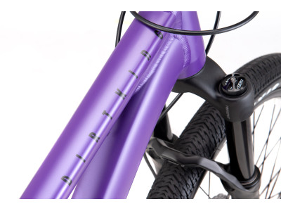 CTM Dirtking Xpert matt violet / black