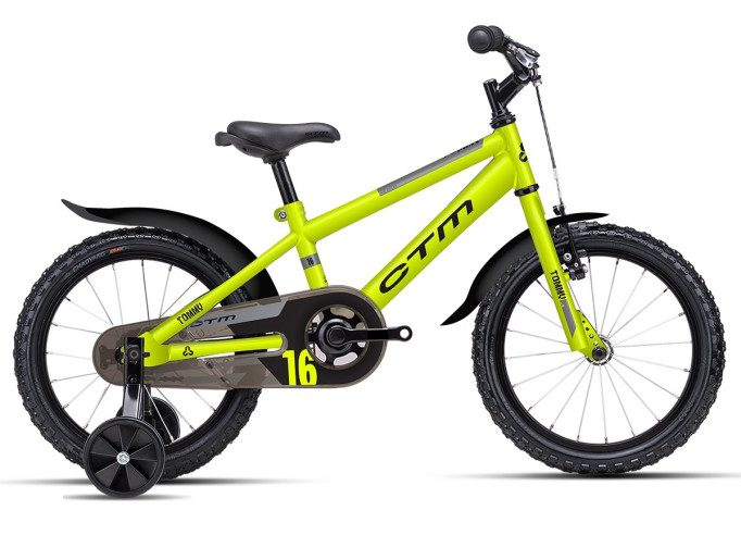 CTM TOMMY | matt lime