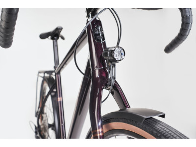 Fitness velosipēds  Diamant Nhoma SO | Schwarzkirsch Metallic 2