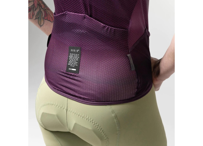 Liemenė GOBIK PLUS 2.0 WOMEN PLUM