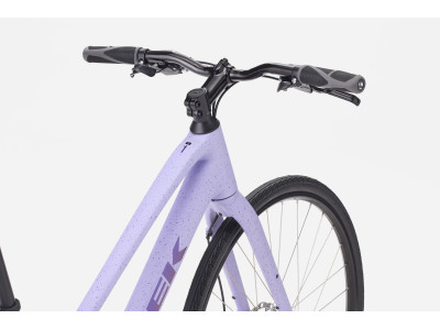 Fitness bike TREK FX 1 mid-step | Lavender Haze