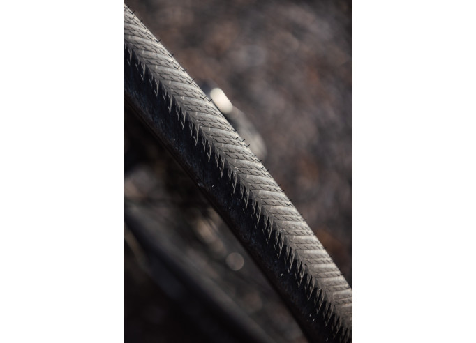 Riepa gravel Continental Terra Competition...