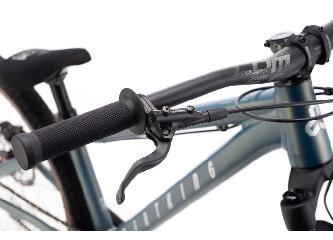 CTM DIRTKING Xpert Dirtjump dviratis | matt...