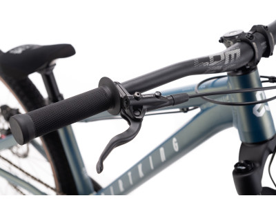 CTM DIRTKING Xpert Dirtjump dviratis | matt ground green