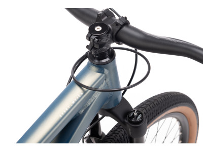 CTM DIRTKING Xpert Dirtjump dviratis | matt ground green