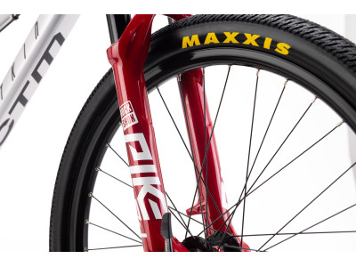 CTM DIRTKING Pro Dirtjump dviratis | matt silver