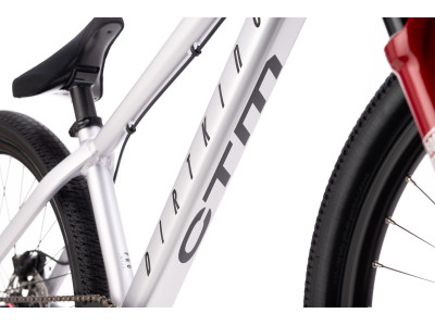 CTM DIRTKING Pro Dirtjump dviratis | matt silver