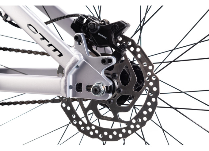 CTM DIRTKING Pro Dirtjump dviratis | matt silver