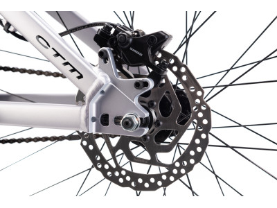 CTM DIRTKING Pro Dirtjump dviratis | matt silver
