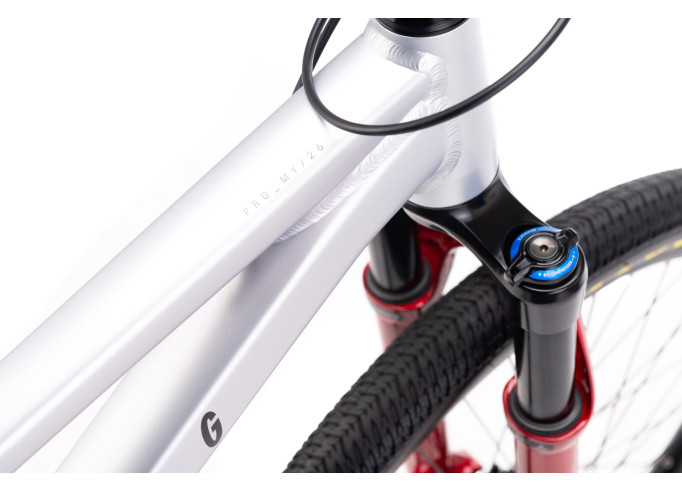 CTM DIRTKING Pro Dirtjump dviratis | matt silver