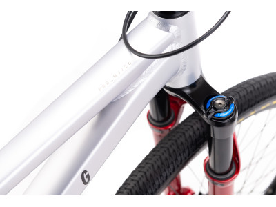 CTM DIRTKING Pro Dirtjump dviratis | matt silver