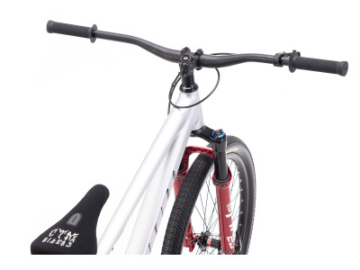CTM DIRTKING Pro Dirtjump dviratis | matt silver