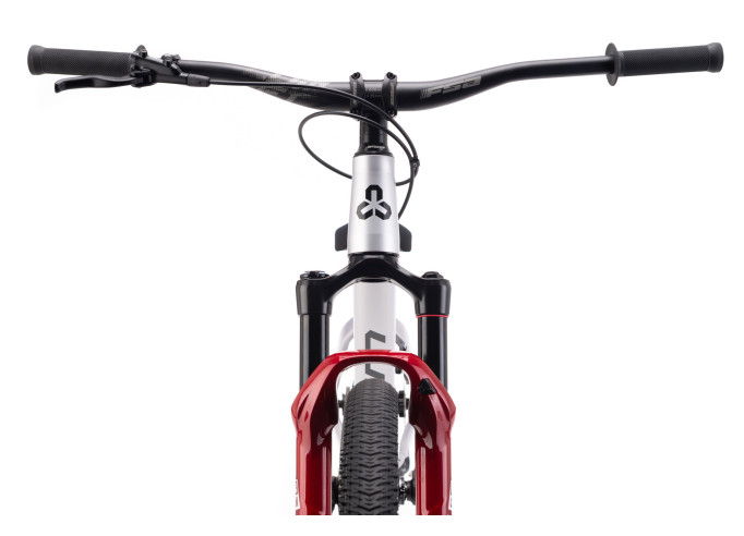 CTM DIRTKING Pro Dirtjump dviratis | matt silver