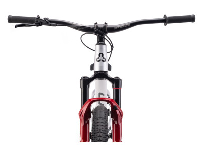 CTM DIRTKING Pro Dirtjump dviratis | matt silver