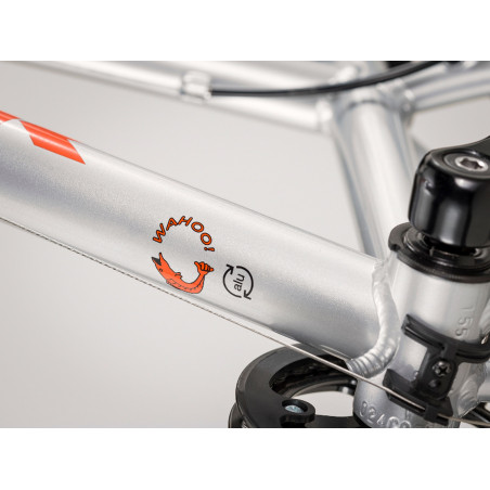 Kids bike TREK Wahoo 20 Quicksilver/Roarange