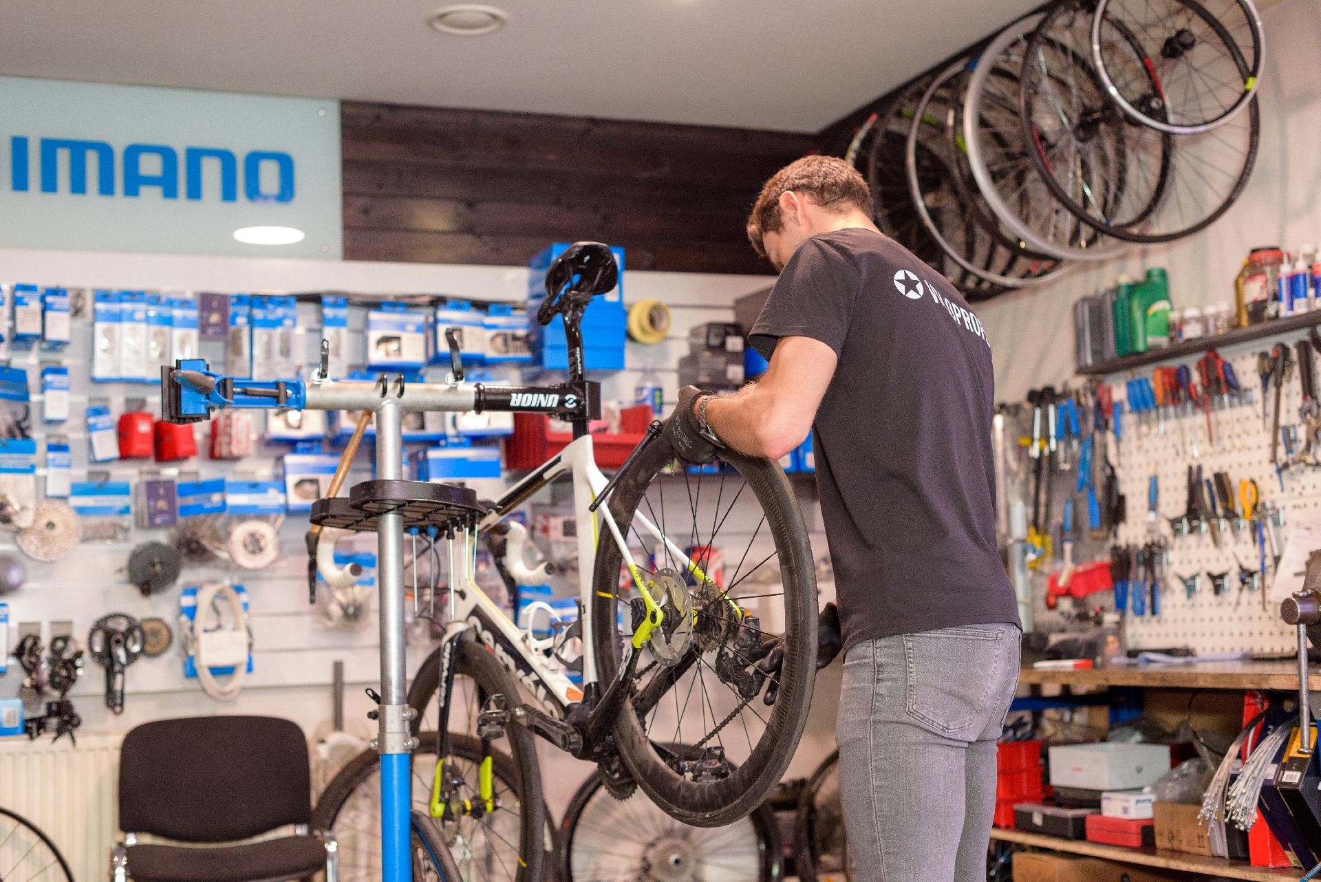 Kopējā velosipeda apkope, serviss - veloprofs.pro