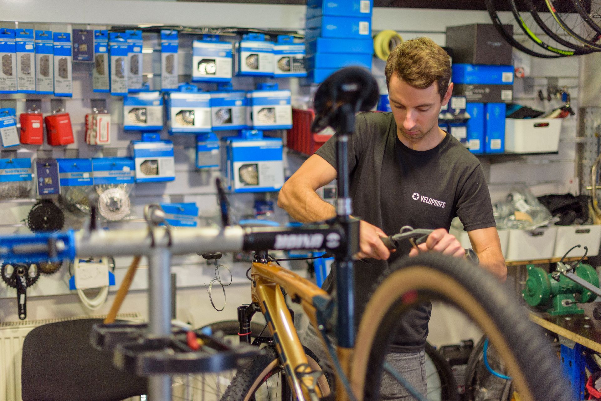 Didzis veloprofs serviss