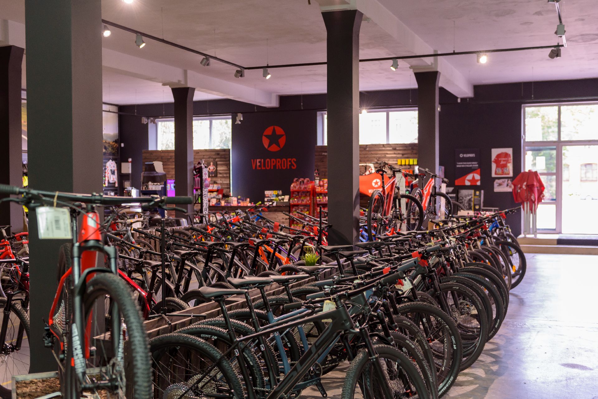 kalnu velosipēdi, Veloprofs